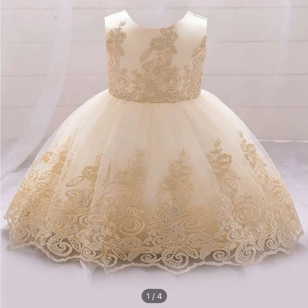 Toddler Girls Flower Embroidered Mesh V-back Gown Dress